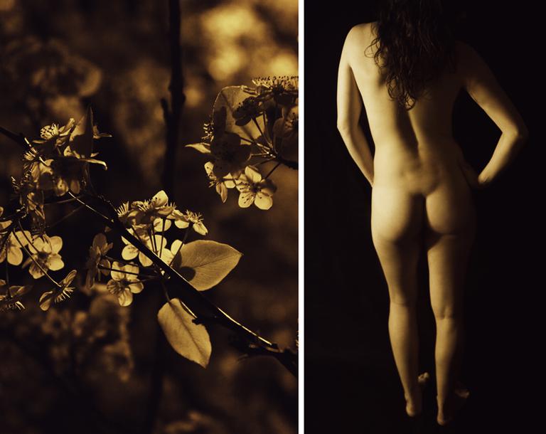 Diptych Nudes