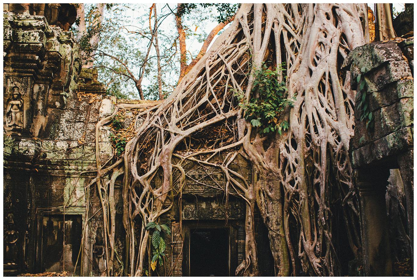 Cambodia |Travel Photography