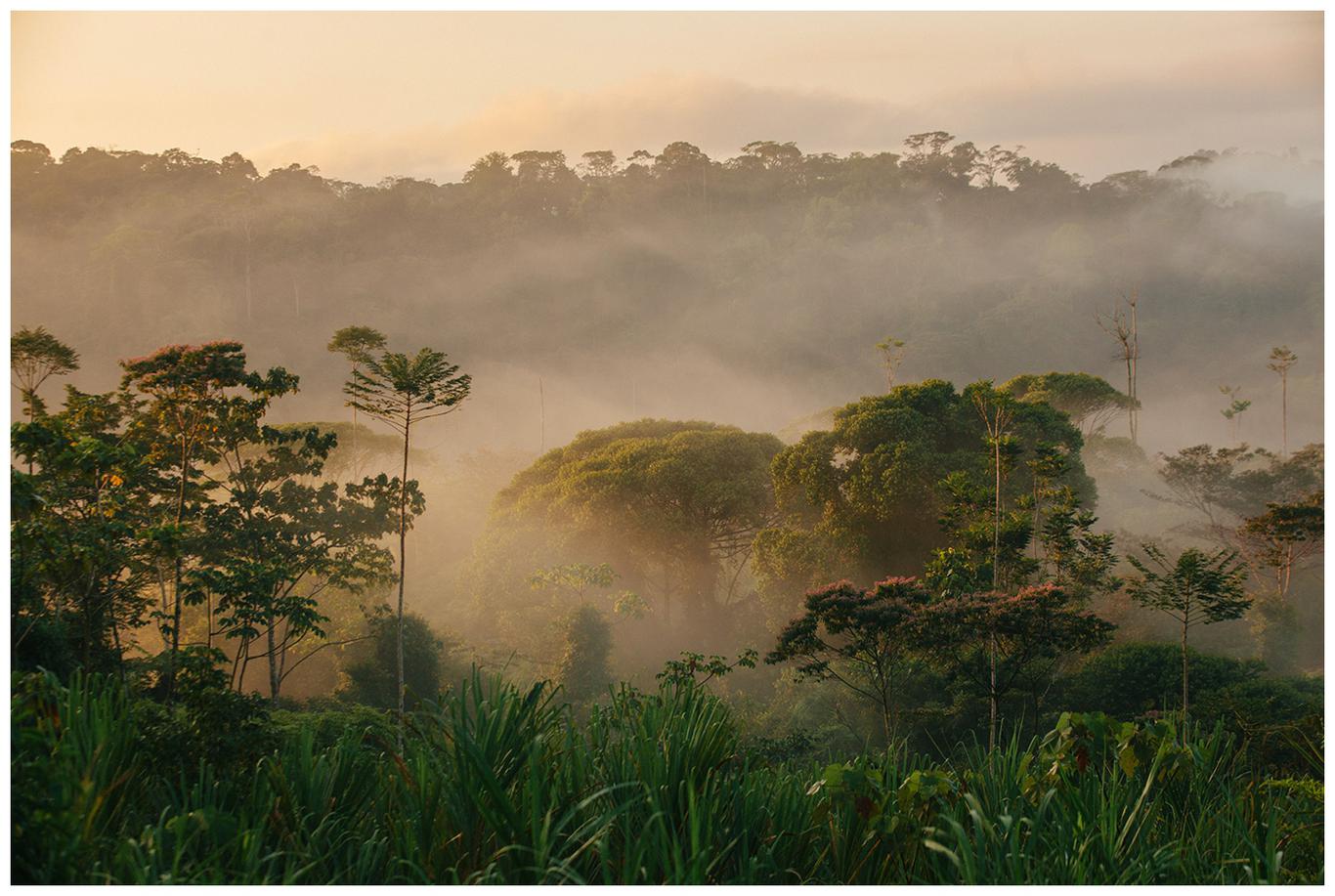 Costa Rica | Travel Photography