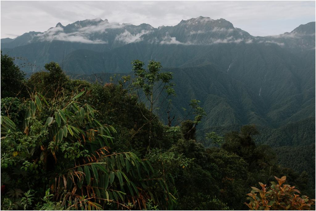 Birdwatching in Colombia | Colombia Travel Photography