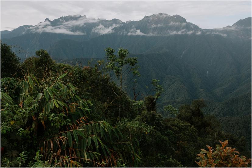 Where to go birdwatching in Colombia