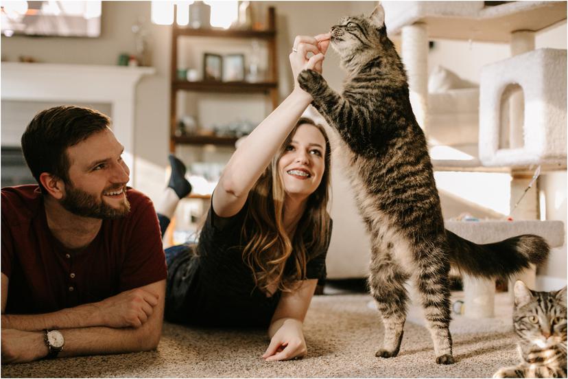 In home Corvallis Engagement Photos with cats