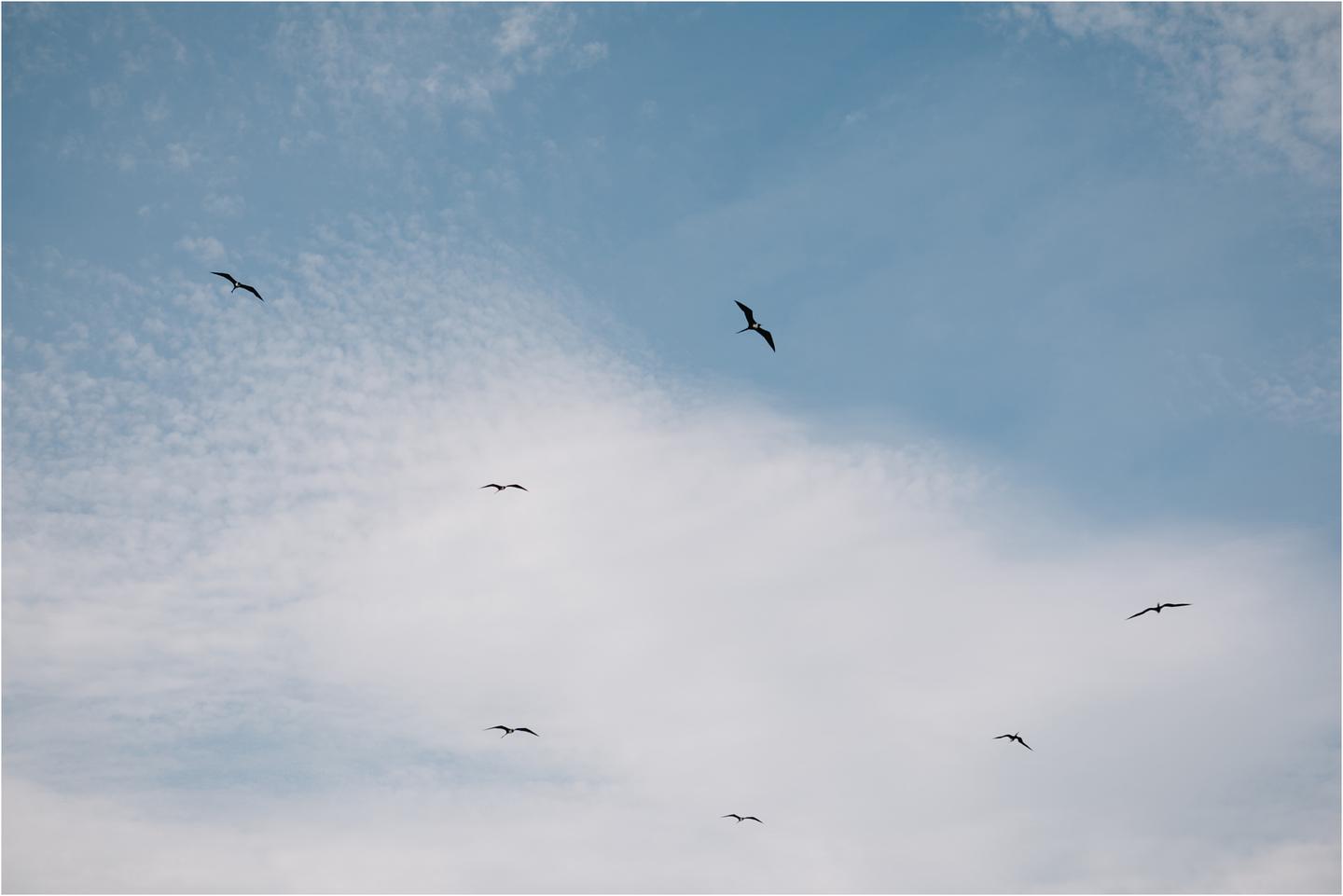 03-Hyatt-Ziva-Wedding-Ceremony-22