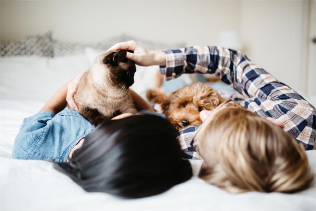 reasons-to-do-an-in-home-photo-session_2391