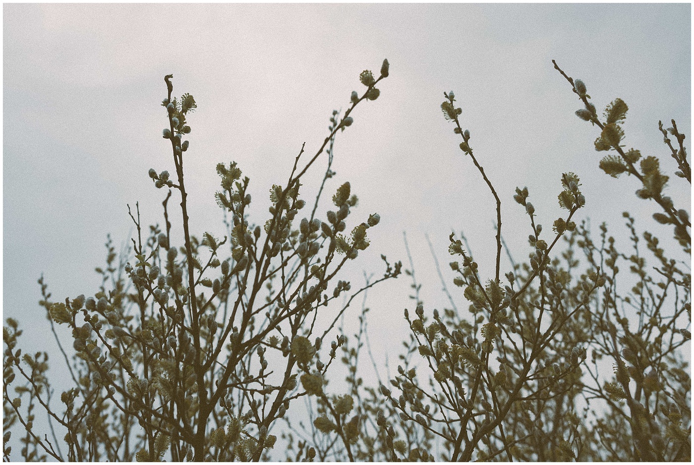 Bere-Island-Wedding-240331115724