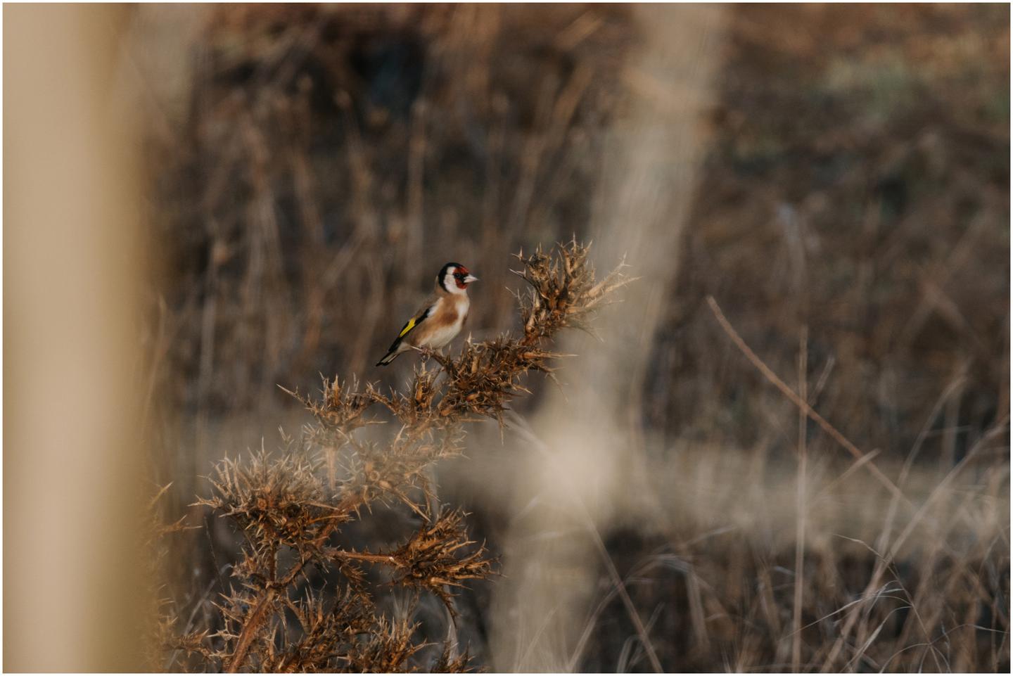 04-casa-palmela-setubal-portugal-8020