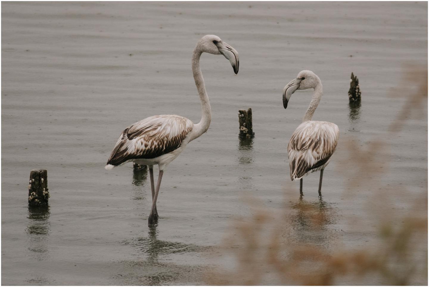 04-casa-palmela-setubal-portugal-8038