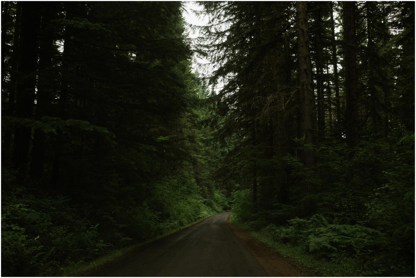 camp-wilkerson-wedding-3683