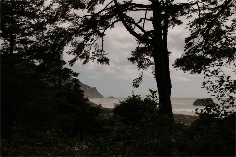 cannon-beach-wedding-photographer-6101