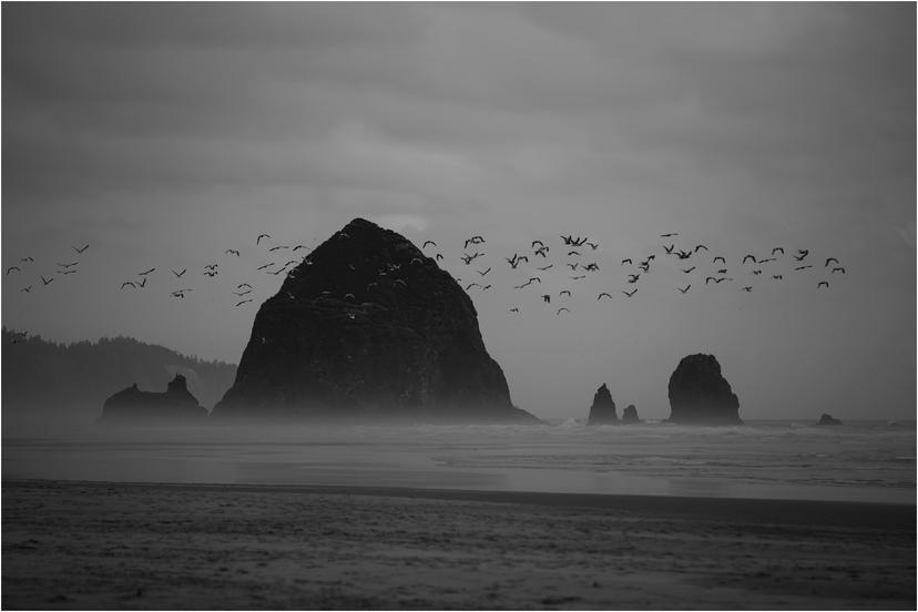 cannon-beach-wedding-photographer-7065