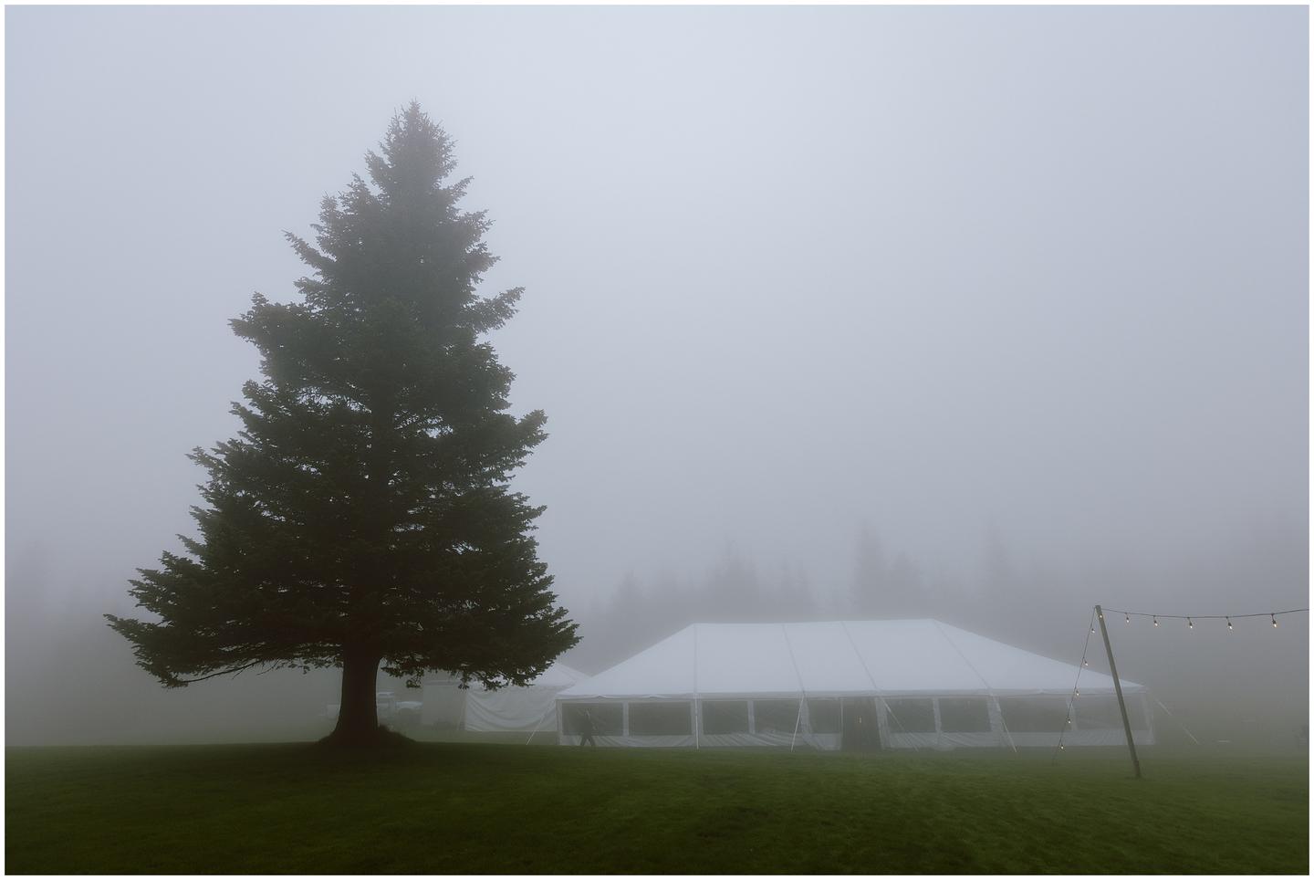 cooper-spur-wedding-kp22_6168