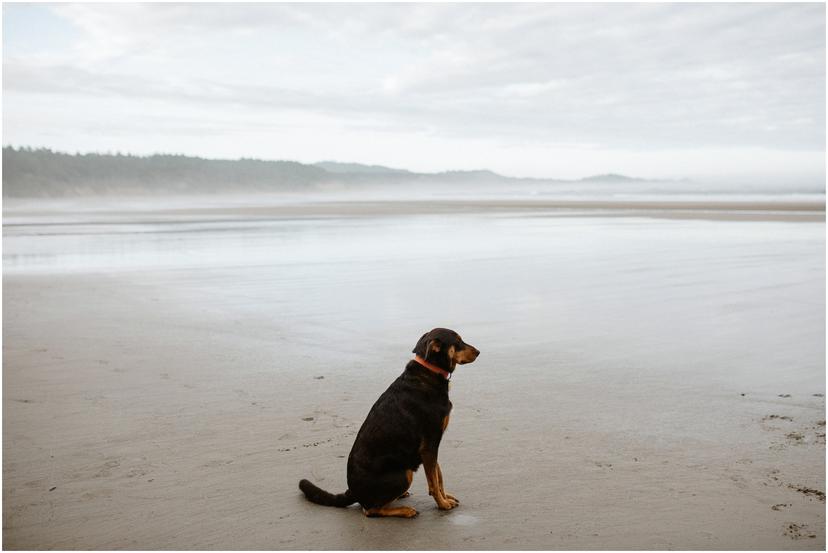 devils-punchbowl-elopement-newport-oregon-0876