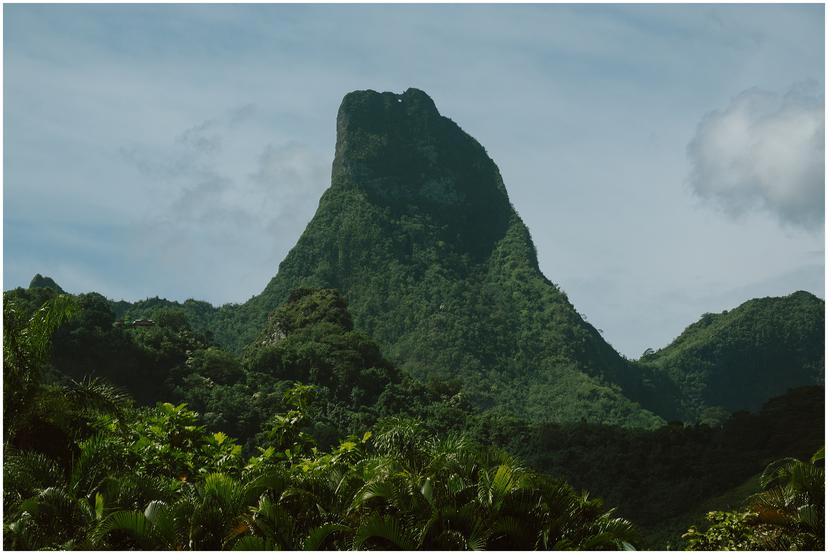 french-polynesia-austral-islands_5146