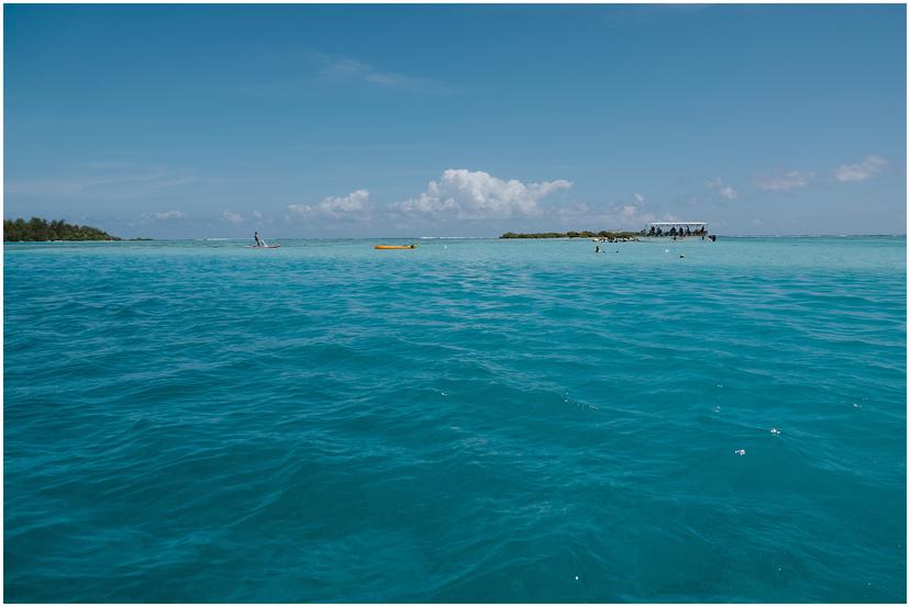 french-polynesia-austral-islands_5158