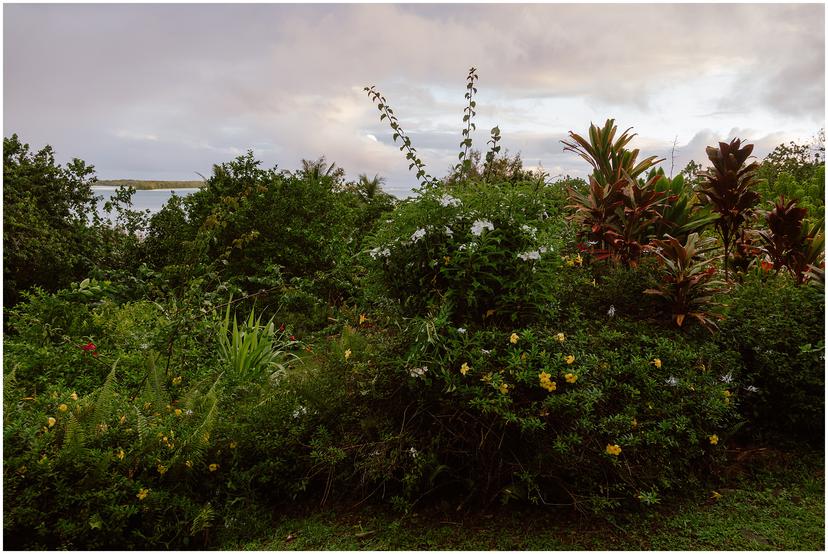 french-polynesia-austral-islands_5193