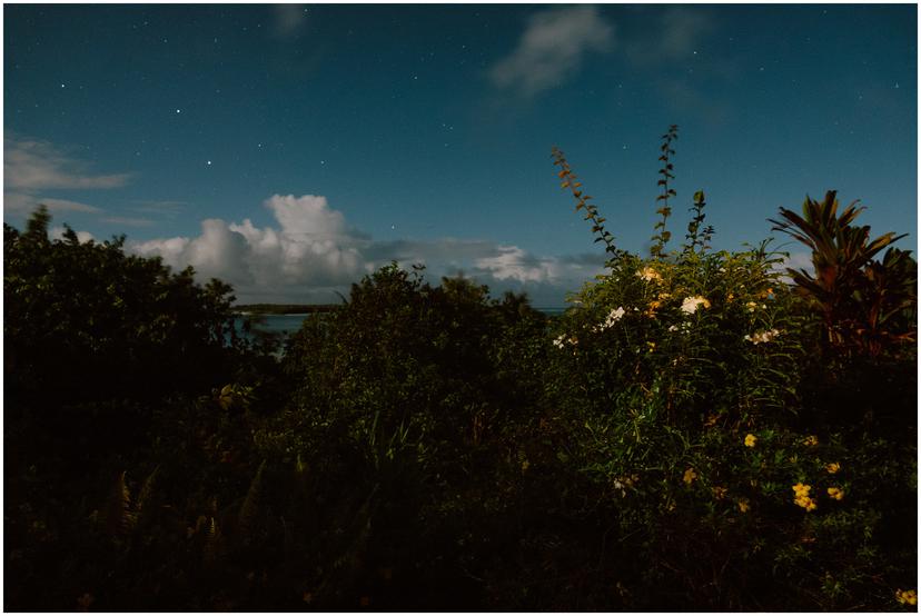 french-polynesia-austral-islands_5196