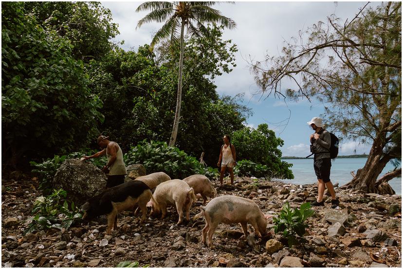 french-polynesia-austral-islands_5206