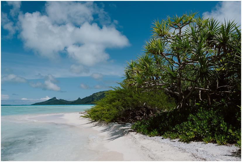 french-polynesia-austral-islands_5218