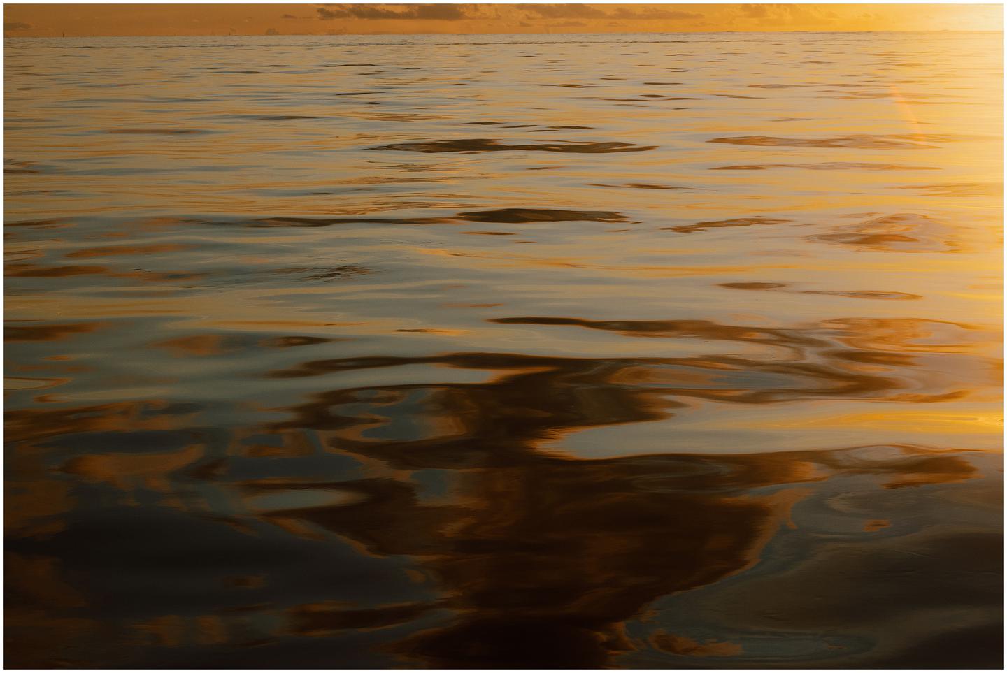 french-polynesia-austral-islands_5260