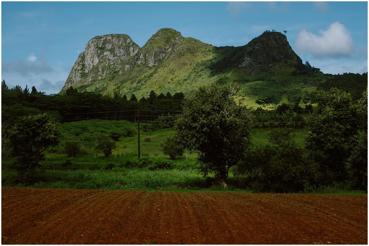 french-polynesia-austral-islands_5264