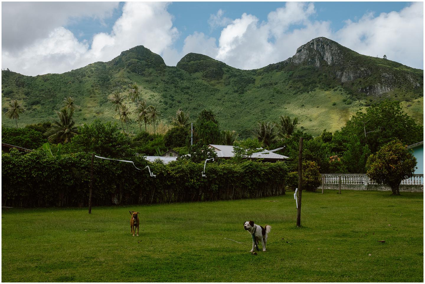 french-polynesia-austral-islands_5272