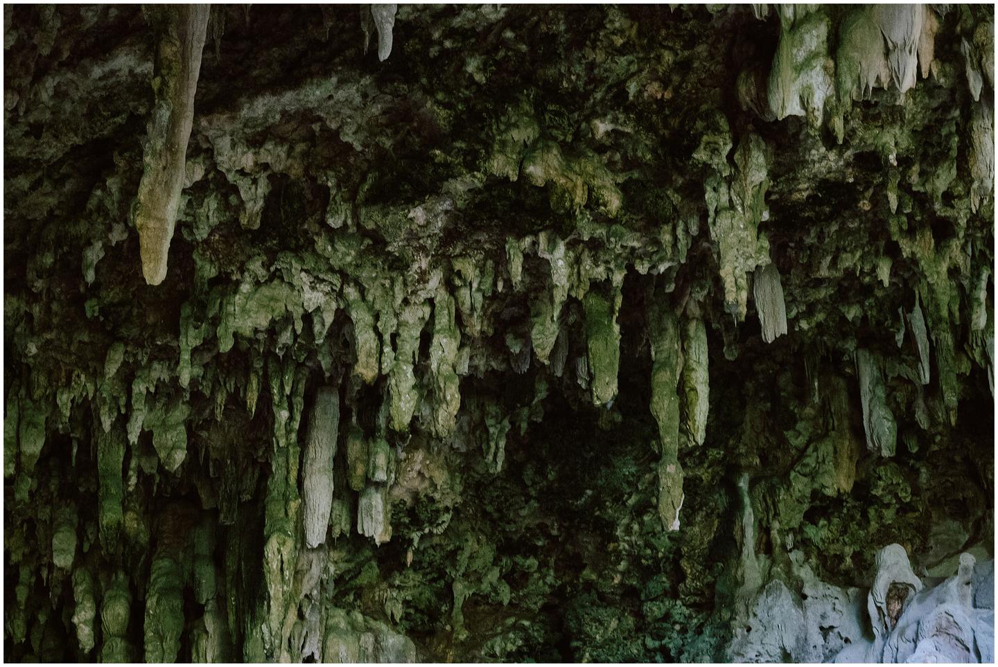 french-polynesia-austral-islands_5283