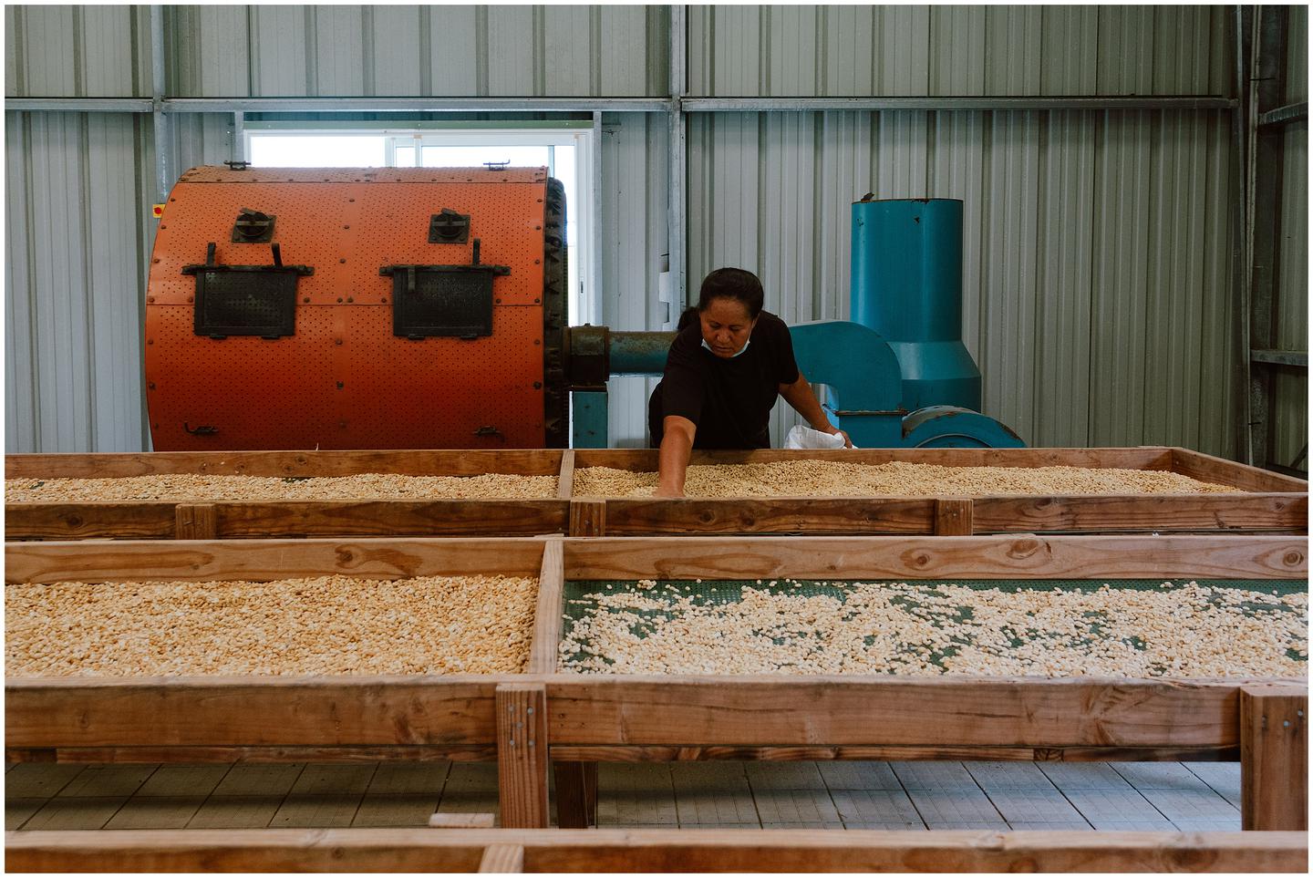 french-polynesia-austral-islands_5291