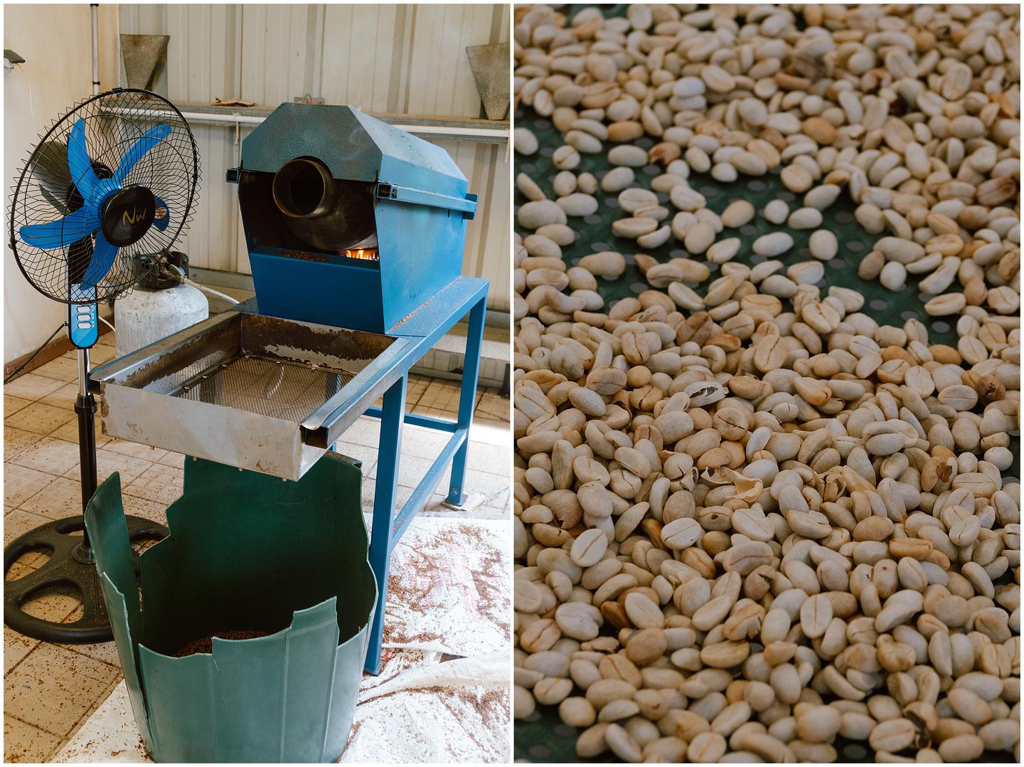 french-polynesia-austral-islands_5293