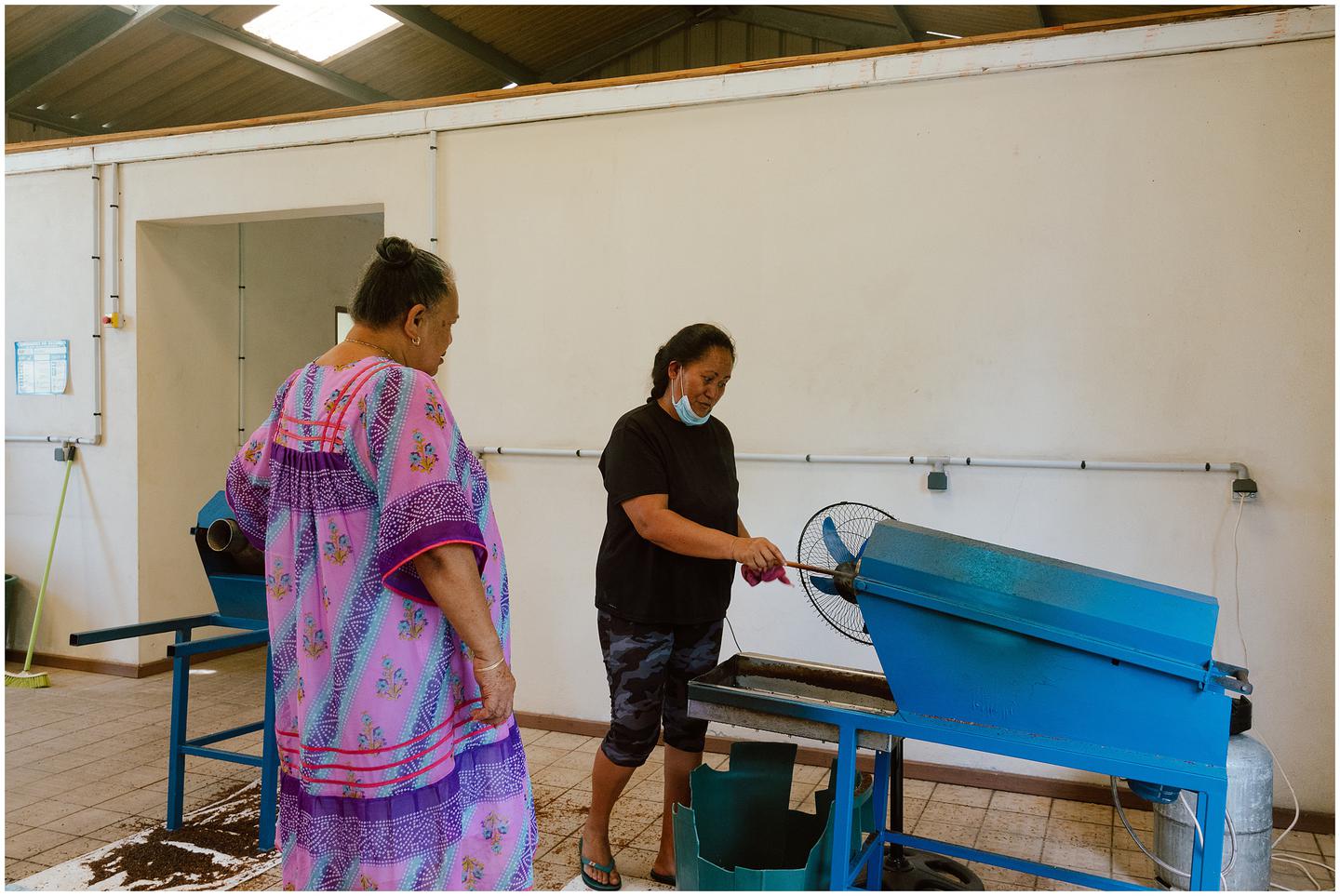 french-polynesia-austral-islands_5294