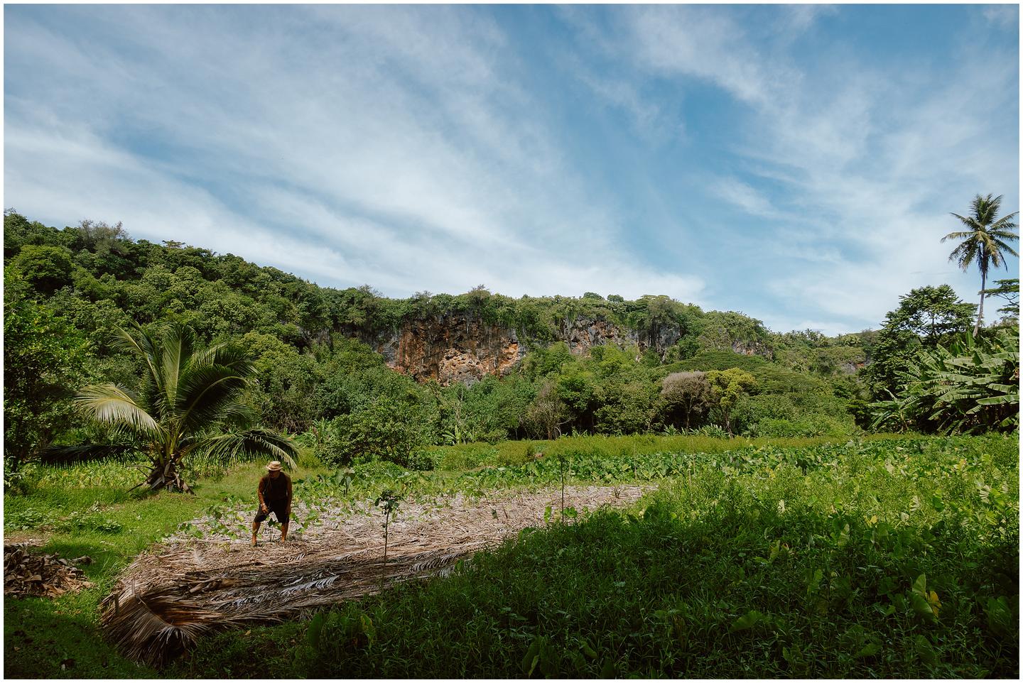 french-polynesia-austral-islands_5303