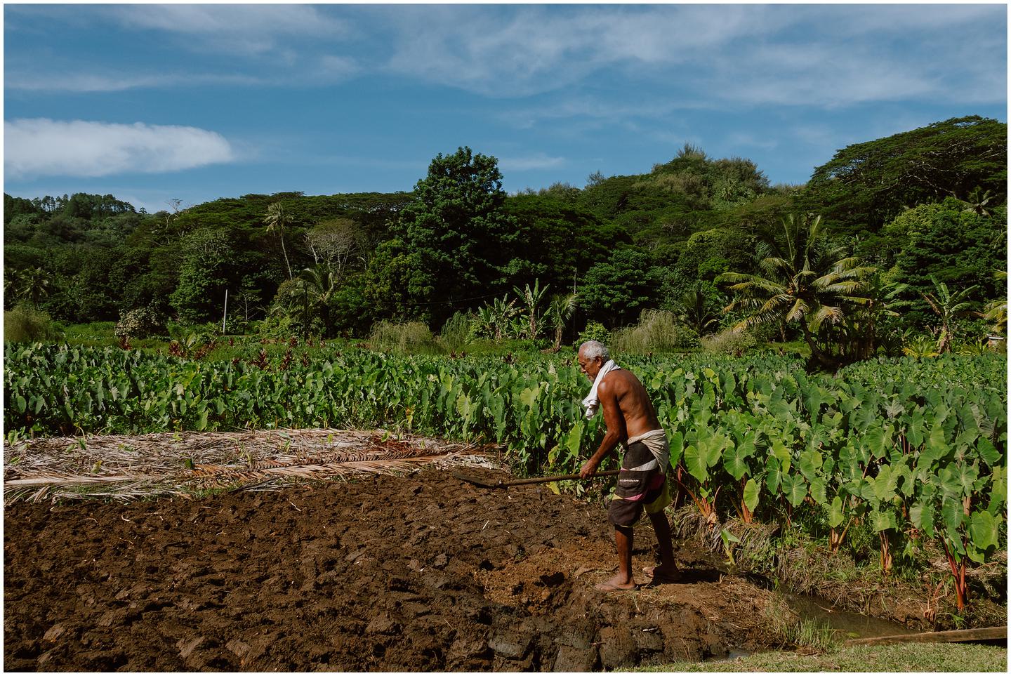 french-polynesia-austral-islands_5313