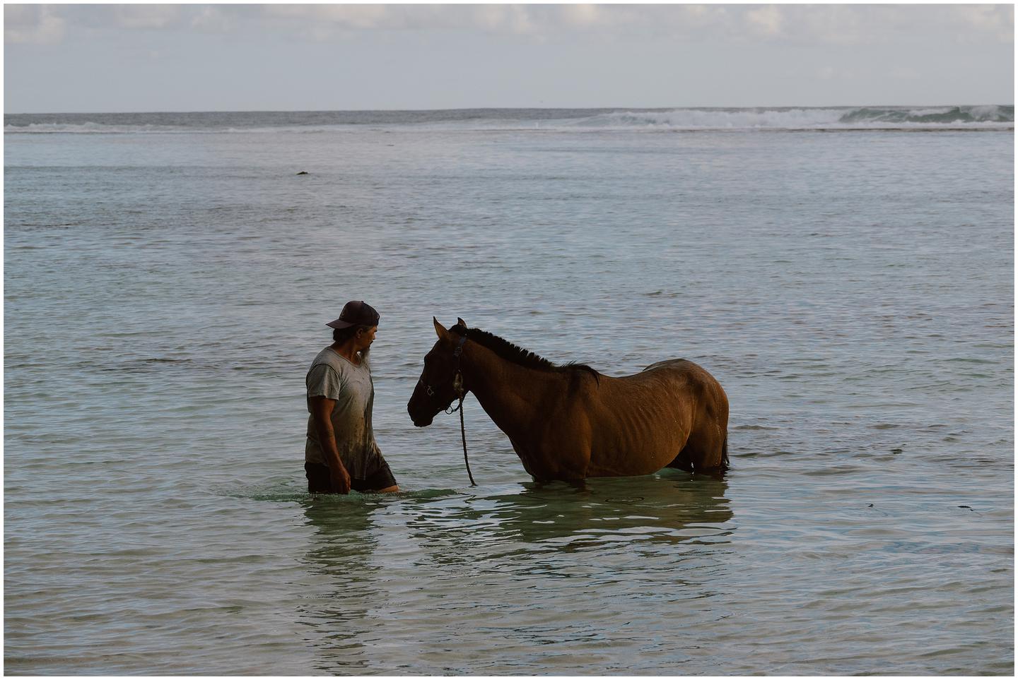 french-polynesia-austral-islands_5323