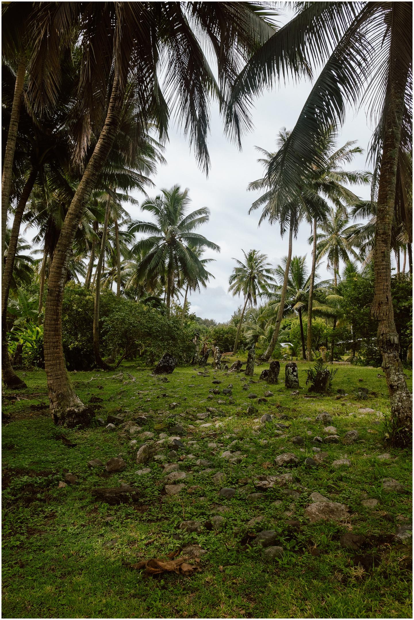 french-polynesia-austral-islands_5326
