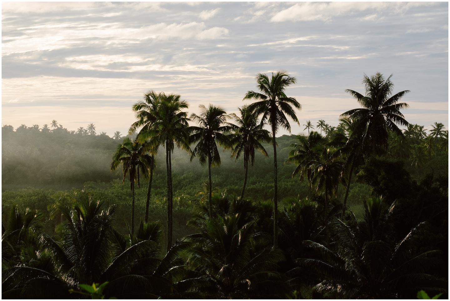 french-polynesia-austral-islands_5336