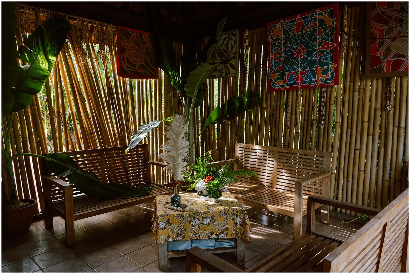 french-polynesia-austral-islands_5338