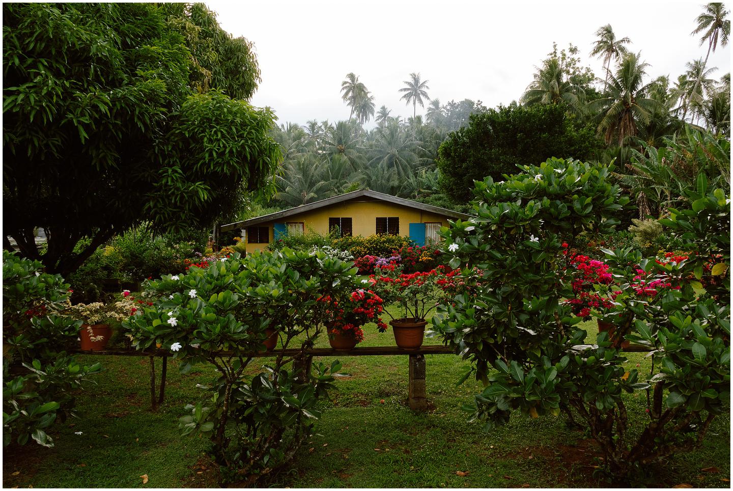 french-polynesia-austral-islands_5353