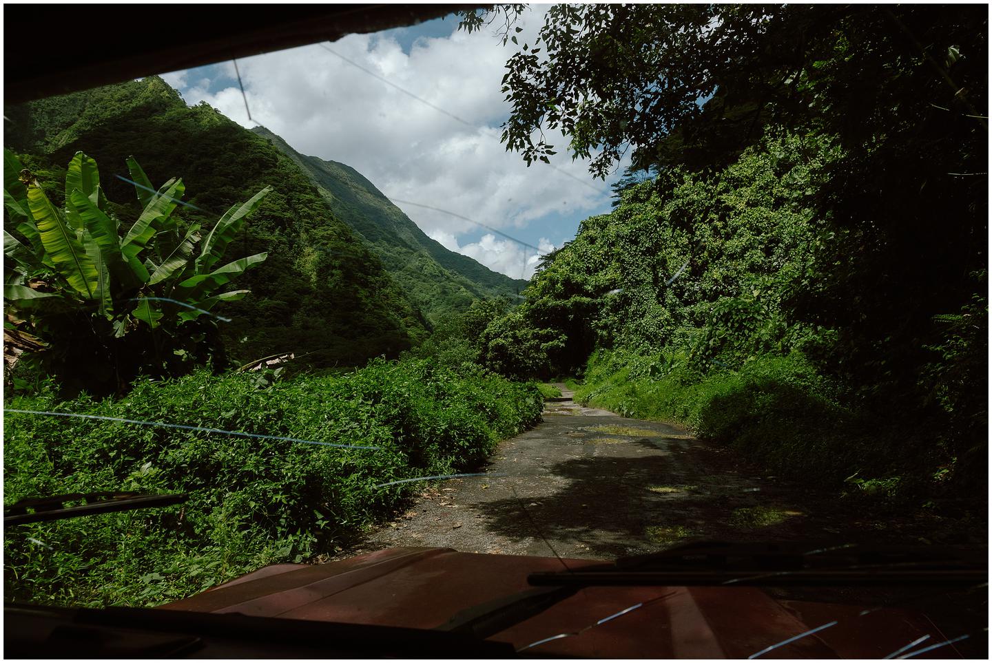 french-polynesia-austral-islands_5360