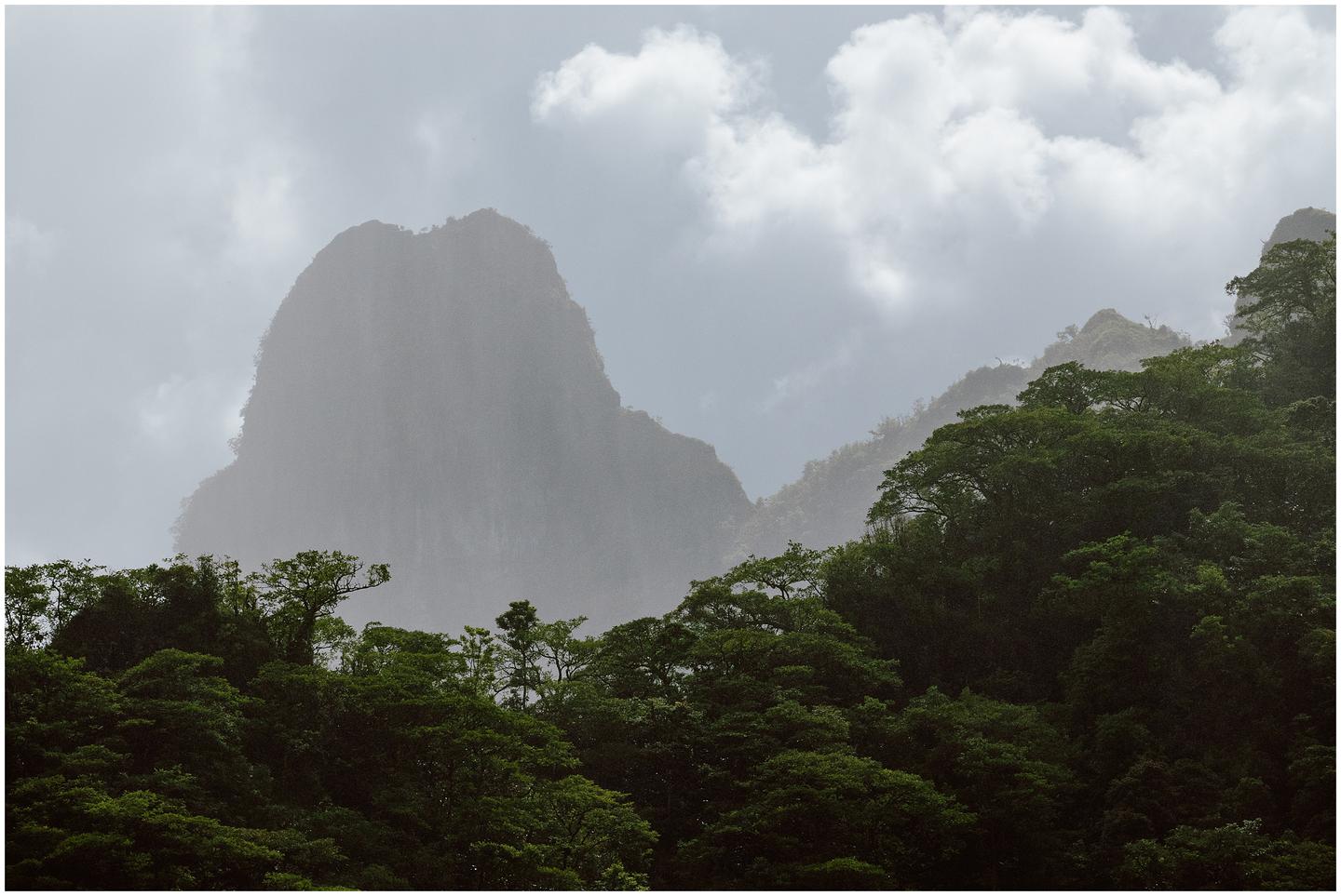 french-polynesia-austral-islands_5370