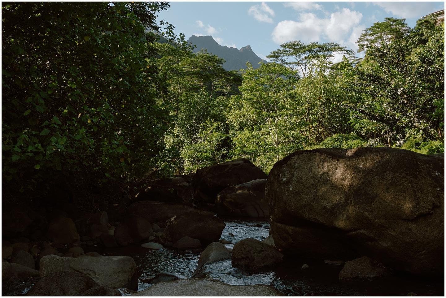 french-polynesia-austral-islands_5380