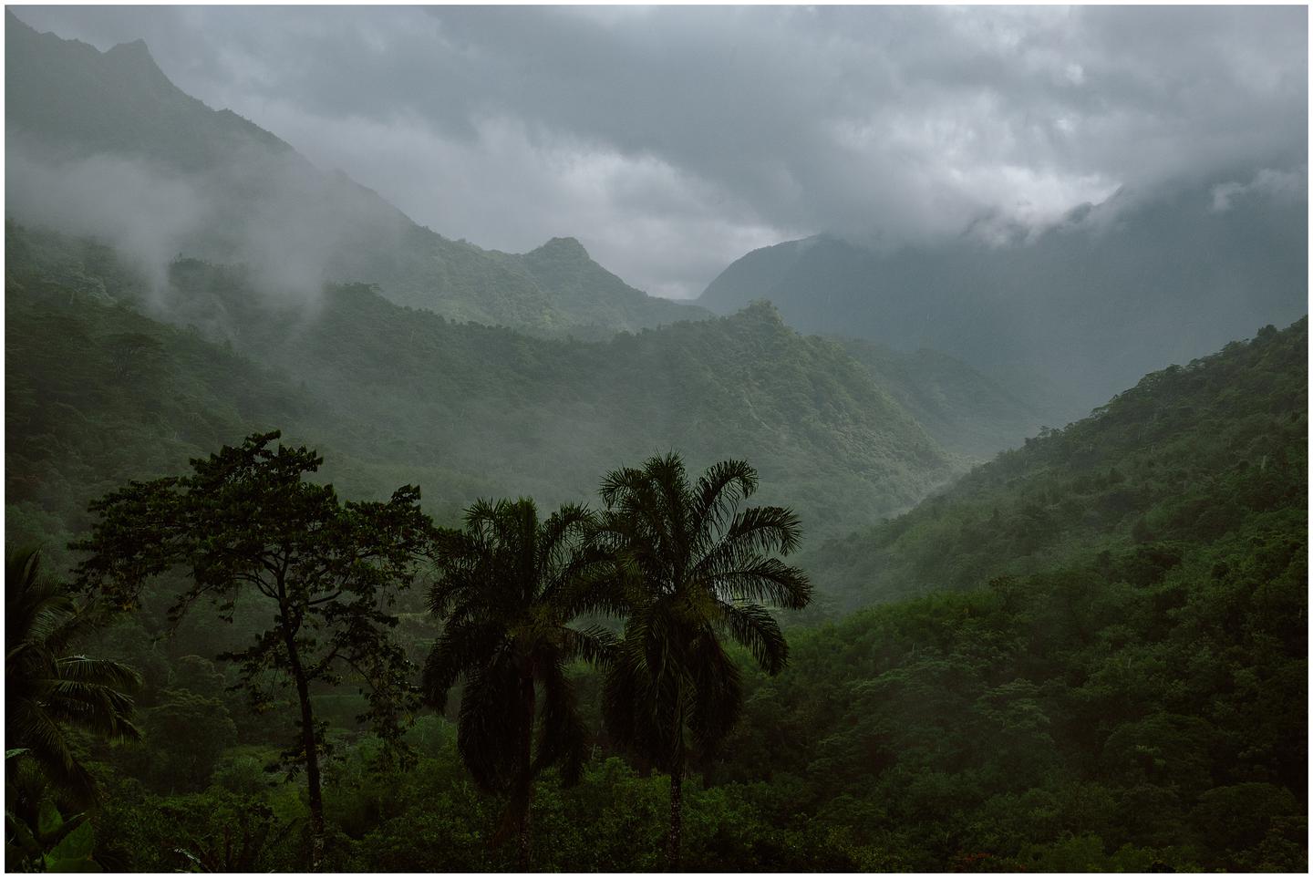 french-polynesia-austral-islands_5381