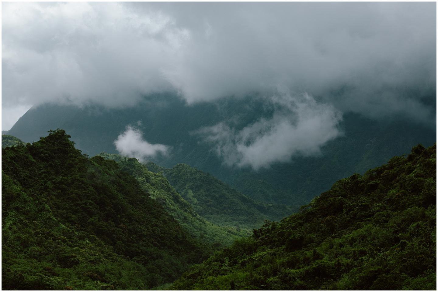 french-polynesia-austral-islands_5382