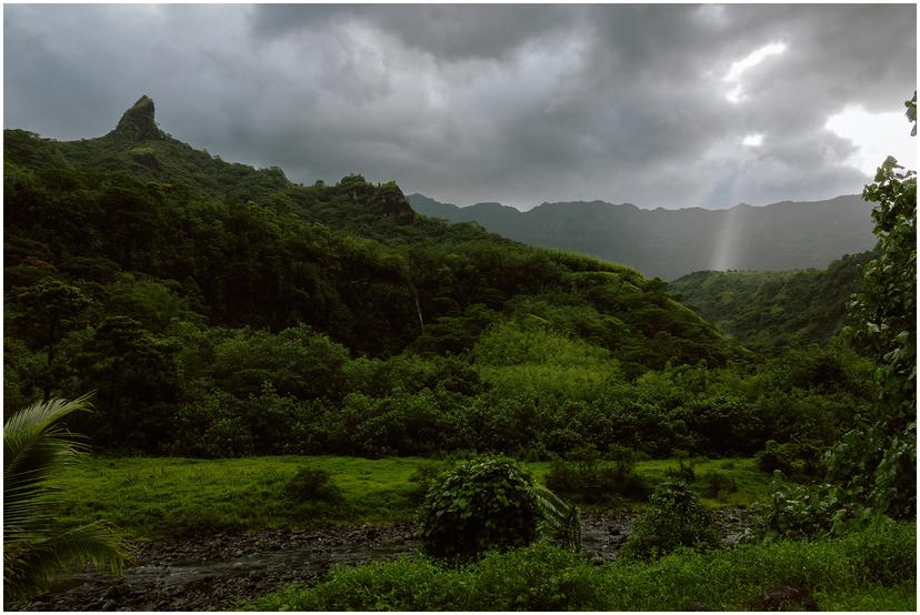 french-polynesia-austral-islands_5386