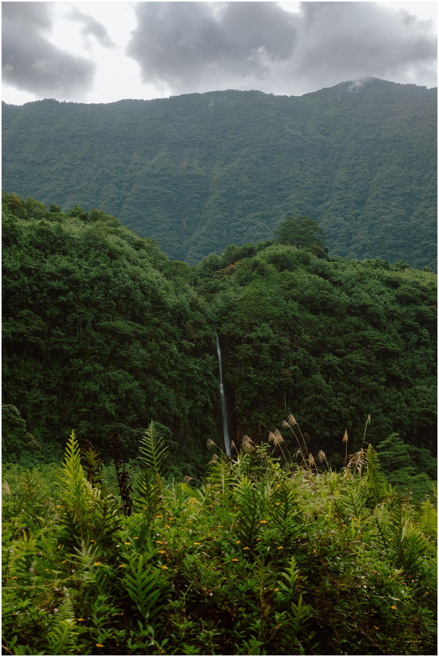 french-polynesia-austral-islands_5387