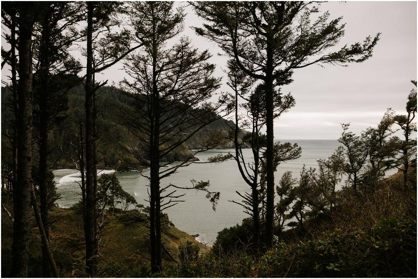 heceta-head-lighthouse-wedding-0602