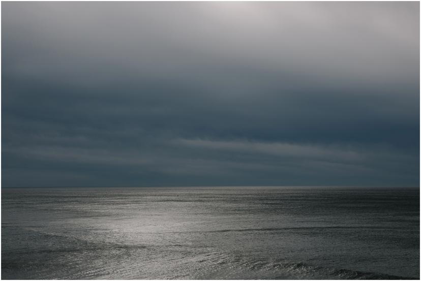 heceta-head-lighthouse-wedding-1441