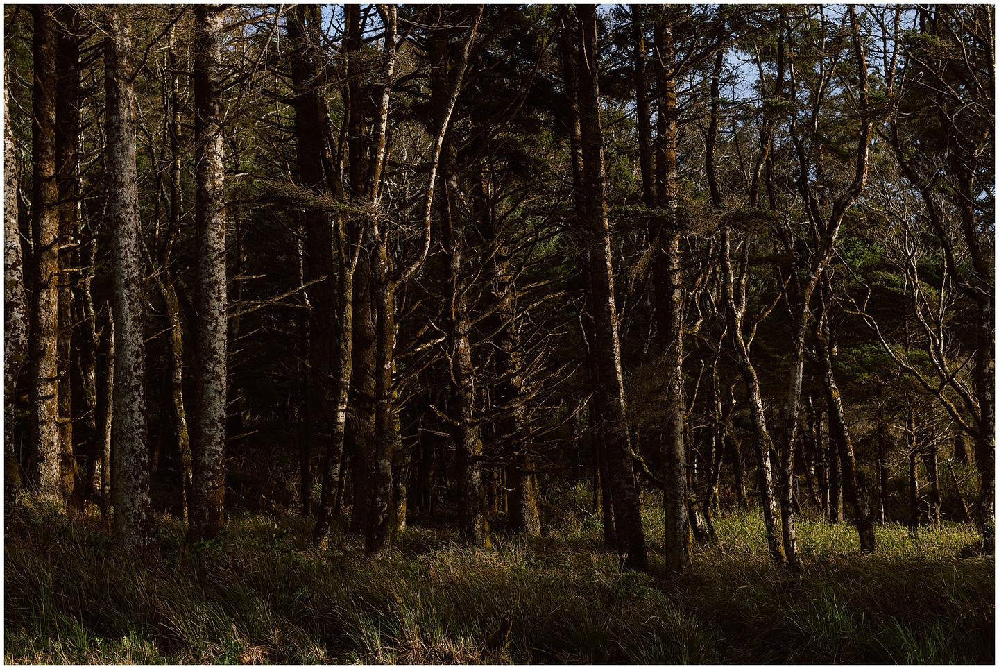 hug-point-elopement-lj-2151