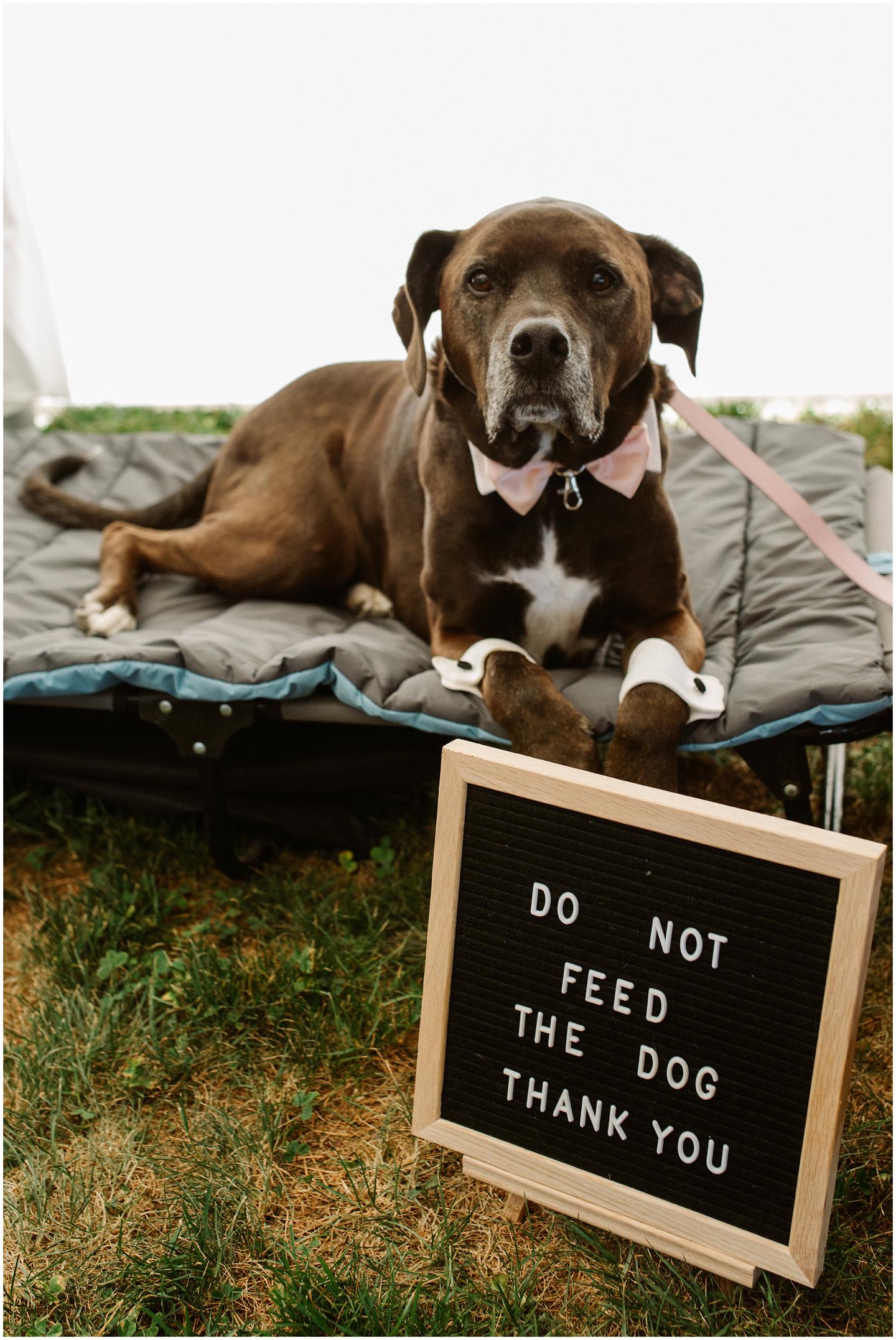 hummingbird-estate-wedding-1192