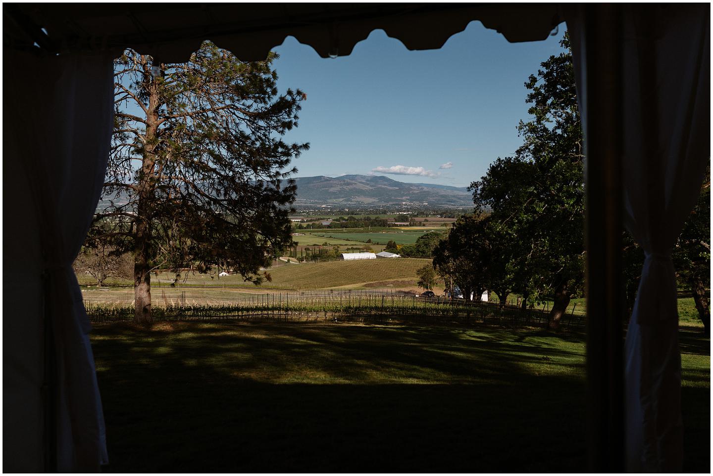 hummingbird-estate-wedding-1205