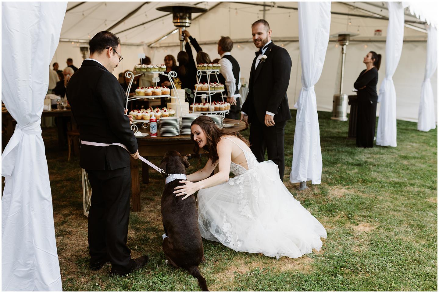 hummingbird-estate-wedding-1425