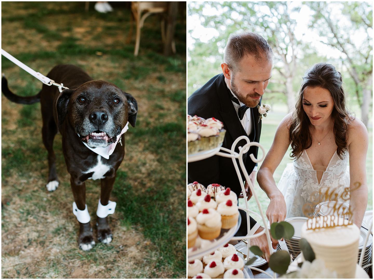 hummingbird-estate-wedding-1428